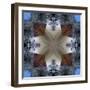 Kaleidoscope 4-RUNA-Framed Giclee Print