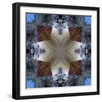 Kaleidoscope 4-RUNA-Framed Giclee Print