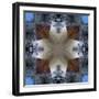 Kaleidoscope 4-RUNA-Framed Giclee Print