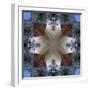 Kaleidoscope 4-RUNA-Framed Giclee Print