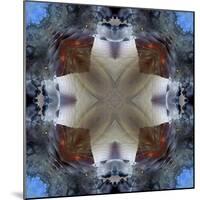 Kaleidoscope 4-RUNA-Mounted Giclee Print