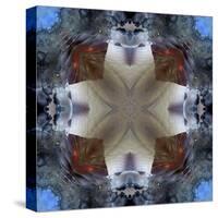 Kaleidoscope 4-RUNA-Stretched Canvas