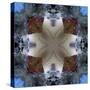 Kaleidoscope 4-RUNA-Stretched Canvas