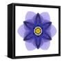 Kaleidoscope Blue Bell-David Bookbinder-Framed Stretched Canvas