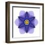 Kaleidoscope Blue Bell-David Bookbinder-Framed Art Print