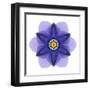 Kaleidoscope Blue Bell-David Bookbinder-Framed Art Print