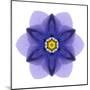 Kaleidoscope Blue Bell-David Bookbinder-Mounted Art Print