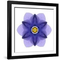 Kaleidoscope Blue Bell-David Bookbinder-Framed Art Print