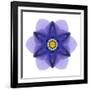 Kaleidoscope Blue Bell-David Bookbinder-Framed Art Print