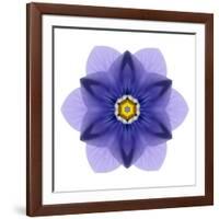 Kaleidoscope Blue Bell-David Bookbinder-Framed Art Print