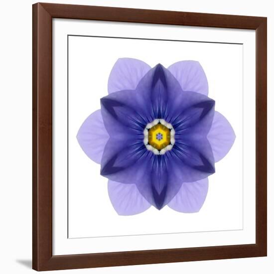 Kaleidoscope Blue Bell-David Bookbinder-Framed Art Print