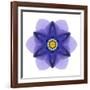 Kaleidoscope Blue Bell-David Bookbinder-Framed Art Print