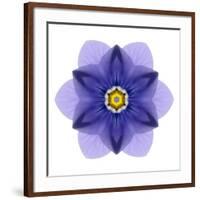 Kaleidoscope Blue Bell-David Bookbinder-Framed Art Print