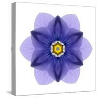 Kaleidoscope Blue Bell-David Bookbinder-Stretched Canvas