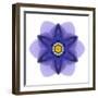 Kaleidoscope Blue Bell-David Bookbinder-Framed Art Print