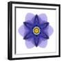 Kaleidoscope Blue Bell-David Bookbinder-Framed Art Print