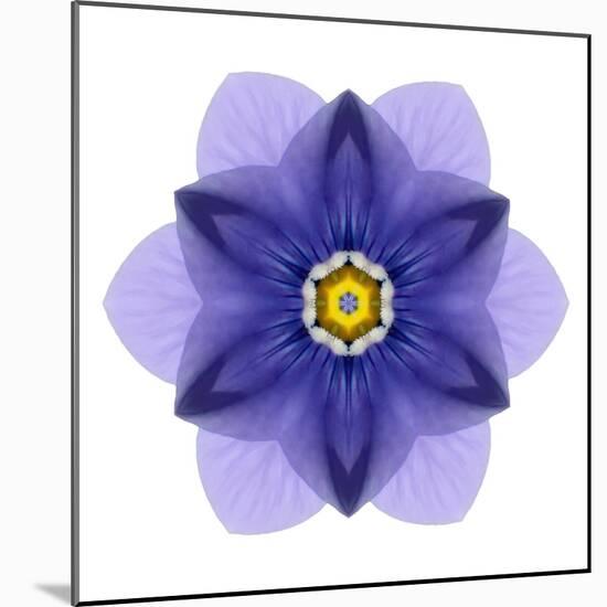 Kaleidoscope Blue Bell-David Bookbinder-Mounted Art Print