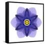 Kaleidoscope Blue Bell-David Bookbinder-Framed Stretched Canvas