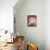 Kaleidoscope Cats III-Louis Wain-Premium Giclee Print displayed on a wall