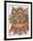 Kaleidoscope Cats IV-Louis Wain-Framed Giclee Print