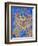 Kaleidoscope Cats VI-Louis Wain-Framed Giclee Print