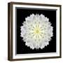 Kaleidoscope Dahlia Black-David Bookbinder-Framed Art Print