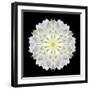 Kaleidoscope Dahlia Black-David Bookbinder-Framed Art Print