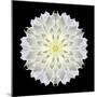 Kaleidoscope Dahlia Black-David Bookbinder-Mounted Art Print