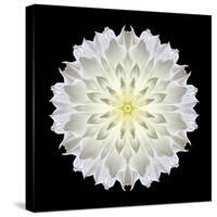 Kaleidoscope Dahlia Black-David Bookbinder-Stretched Canvas