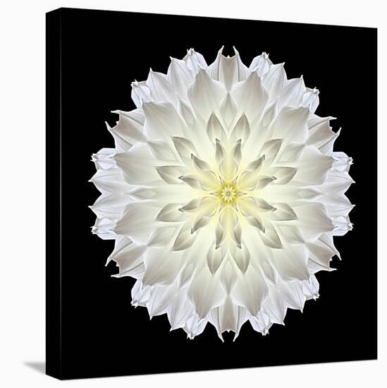 Kaleidoscope Dahlia Black-David Bookbinder-Stretched Canvas