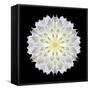 Kaleidoscope Dahlia Black-David Bookbinder-Framed Stretched Canvas