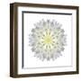 Kaleidoscope Dahlia-David Bookbinder-Framed Art Print