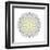 Kaleidoscope Dahlia-David Bookbinder-Framed Art Print