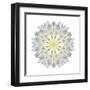 Kaleidoscope Dahlia-David Bookbinder-Framed Art Print