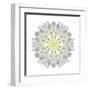 Kaleidoscope Dahlia-David Bookbinder-Framed Art Print