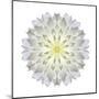 Kaleidoscope Dahlia-David Bookbinder-Mounted Art Print