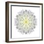 Kaleidoscope Dahlia-David Bookbinder-Framed Art Print