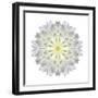 Kaleidoscope Dahlia-David Bookbinder-Framed Art Print