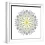 Kaleidoscope Dahlia-David Bookbinder-Framed Art Print