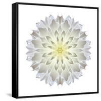 Kaleidoscope Dahlia-David Bookbinder-Framed Stretched Canvas