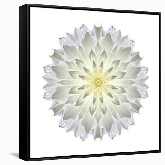 Kaleidoscope Dahlia-David Bookbinder-Framed Stretched Canvas