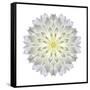 Kaleidoscope Dahlia-David Bookbinder-Framed Stretched Canvas