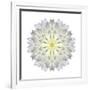 Kaleidoscope Dahlia-David Bookbinder-Framed Art Print