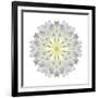 Kaleidoscope Dahlia-David Bookbinder-Framed Art Print