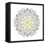 Kaleidoscope Dahlia-David Bookbinder-Framed Stretched Canvas