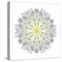 Kaleidoscope Dahlia-David Bookbinder-Stretched Canvas