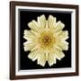 Kaleidoscope Daisy Black-David Bookbinder-Framed Art Print