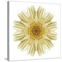 Kaleidoscope Daisy-David Bookbinder-Stretched Canvas