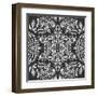 Kaleidoscope Duo I-Sabine Berg-Framed Art Print