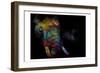 Kaleidoscope Elephant-Sander Van Laar-Framed Art Print